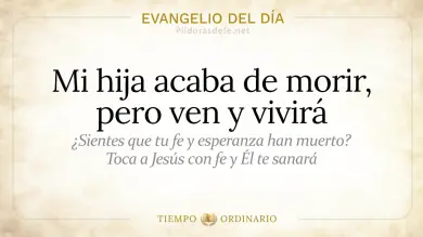 Evangelio de hoy Lunes 6 de Julio de 2026: Mateo 9,18-26