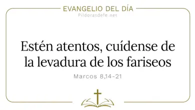 Evangelio del D&iacute;a Martes 17 Feb 2026: Marcos 8,14-21 + Reflexi&oacute;n Hoy