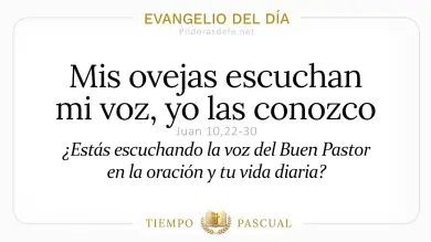 Evangelio del Día Martes 28 de Abril 2026: Juan 10,22-30 🙏