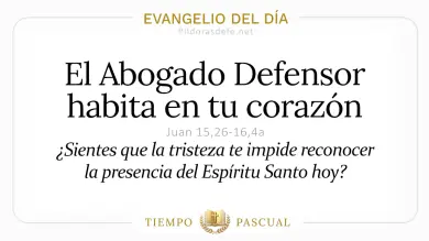 Evangelio de hoy Martes 12 de Mayo 2026: Juan 16,5-11 🙏