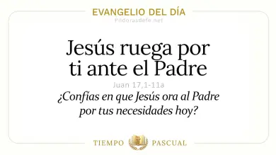 Evangelio de hoy Martes 19 de Mayo 2026: Juan 17,1-11a