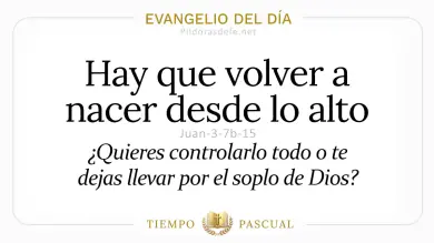 Evangelio del Día Martes 14 Abril 2026: Juan 3,7b-15 🙏