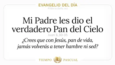 Evangelio del Día Martes 21 de Abril 2026: Juan 6,30-35 🙏