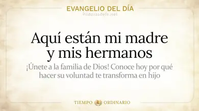 Evangelio de hoy Martes 21 de Julio 2026: Mateo 12,46-50