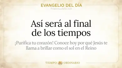 Evangelio de hoy Martes 28 de Julio de 2026: Mateo 13,36-43