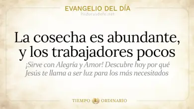 Evangelio de hoy Martes 7 de Julio de 2026: Mateo 9,32-38