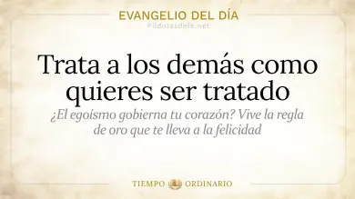 Evangelio de hoy del Martes 23 de junio 2026: Mateo 7,6.12-14