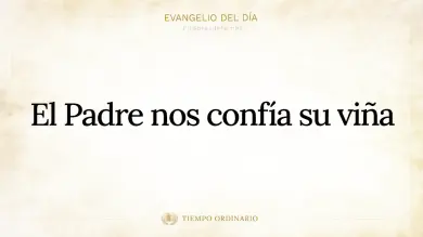 Evangelio de hoy Domingo 4 de Octubre 2026: Mateo 21,33-43