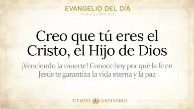 Evangelio de hoy Miércoles 29 de Julio 2026: Juan 11,19-27