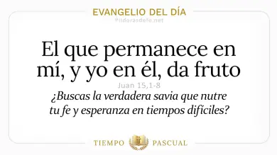 Evangelio del Día Miércoles 6 de Mayo 2026: Juan 15,1-8 🙏