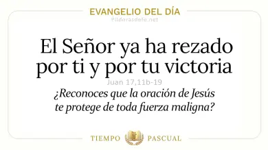 Evangelio de hoy Miércoles 20 de Mayo 2026: Juan 17,11b-19