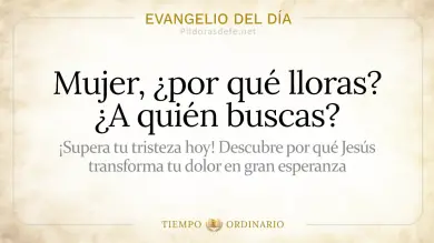Evangelio de hoy Miércoles 22 de Julio 2026: Juan 20,1-2.11-18