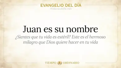 Evangelio de hoy Miércoles 24 de junio 2026: Lucas 1,57-66.80