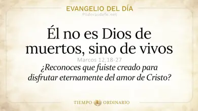 Evangelio de hoy Miércoles 3 de Junio 2026: Marcos 12,18-27