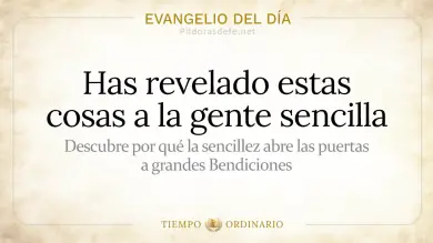 Evangelio de hoy Miércoles 15 de Julio 2026: Mateo 11,25-27