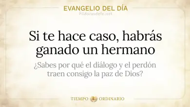 Evangelio de hoy Miércoles 12 de Agosto 2026: Mateo 18,15-20