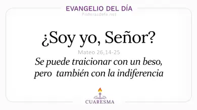 Evangelio del Día Miércoles Santo 1 Abril 2026: Mateo 26,14-25 🙏