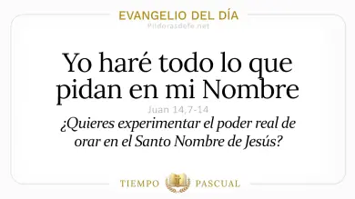 Evangelio del Día Sábado 2 de Mayo 2026: Juan 14,7-14 🙏
