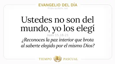 Evangelio del Día Sábado 9 de Mayo 2026: Juan 15,18-21 🙏