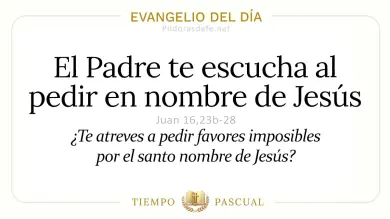 Evangelio de hoy Sábado 16 de Mayo 2026: Juan 16,23b-28