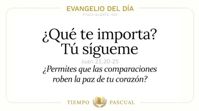 Evangelio de hoy Sábado 23 de Mayo 2026: Juan 21,20-25