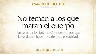 Evangelio de hoy Sábado 11 de Julio 2026: San Mateo 10,24-33