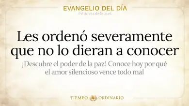 Evangelio de hoy Sábado 18 de Julio 2026: Mateo 12,14-21