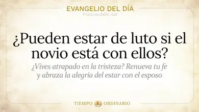 Evangelio de hoy Sábado 4 de Julio 2026: Mateo 9,14-17