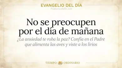 Evangelio de hoy del Sábado 20 de junio 2026: Mateo 6,24-34