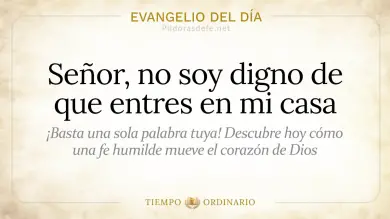 Evangelio de hoy Sábado 27 de Junio 2026: Mateo 8,5-17
