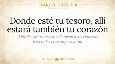 Evangelio de hoy Viernes 19 de junio 2026: San Mateo 6,19-23