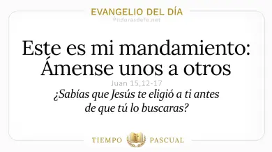 Evangelio del Día Viernes 8 de Mayo 2026: Juan 15,12-17 🙏