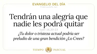 Evangelio de hoy Viernes 15 de Mayo 2026: Juan 16,20-23