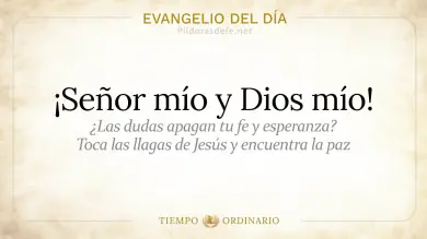 Evangelio de hoy Viernes 3 de Julio 2026: Juan 20,24-29