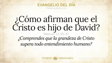 Evangelio de hoy Viernes 5 de Junio 2026: Marcos 12,35-37