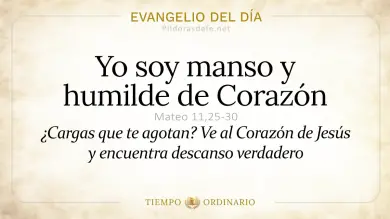 Evangelio de hoy Viernes 12 de junio 2026: San Mateo 11,25-30