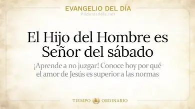 Evangelio de hoy Viernes 17 de Julio de 2026: Mateo 12,1-8