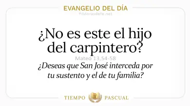 Evangelio del Día Viernes 1 de Mayo 2026: Mateo 13,54-58 🙏