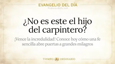 Evangelio de hoy Viernes 31 de Julio 2026: Mateo 13,54-58