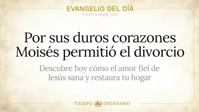 Evangelio de hoy Viernes 14 de Agosto de 2026: Mateo 19,3-12