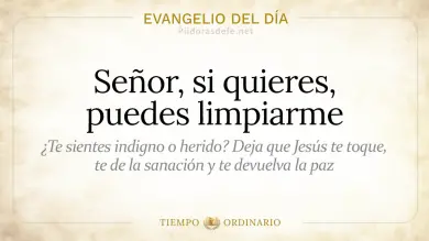 Evangelio de hoy Viernes 26 de Junio 2026: Mateo 8,1-4