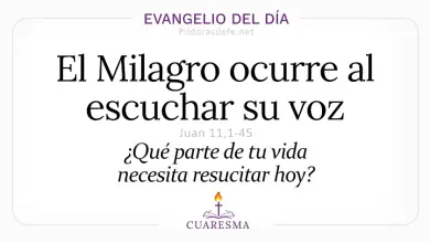 Evangelio del Día Domingo 22 de Marzo 2026: Juan 11,1-45 🙏