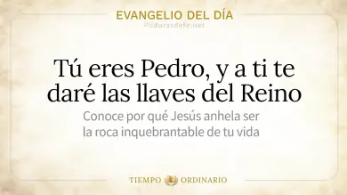 Evangelio de hoy Domingo 23 de Agosto 2026: Mateo 16,13-20