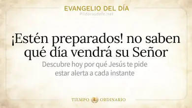 Evangelio de hoy Jueves 27 de Agosto de 2026: Mateo 24,42-51