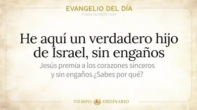 Evangelio de hoy Lunes 24 de Agosto de 2026: Juan 1,45-51