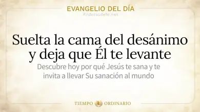 Evangelio de hoy Miércoles 2 Septiembre 2026: Lucas 4,38-44
