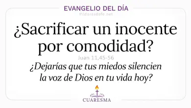 Evangelio del Día Sábado 28 de Marzo 2026: Juan 11,45-56 🙏