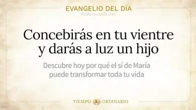 Evangelio de hoy Sábado 22 de Agosto 2026: Lucas 1,26-38