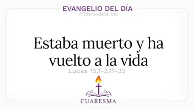 Evangelio del D&iacute;a S&aacute;bado 7 Mar 2026: Lucas 15,1-3.11-32 + Reflexi&oacute;n Hoy 🙏