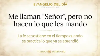 Evangelio de hoy Sábado 12 de septiembre de 2026: Lucas 6,43-49